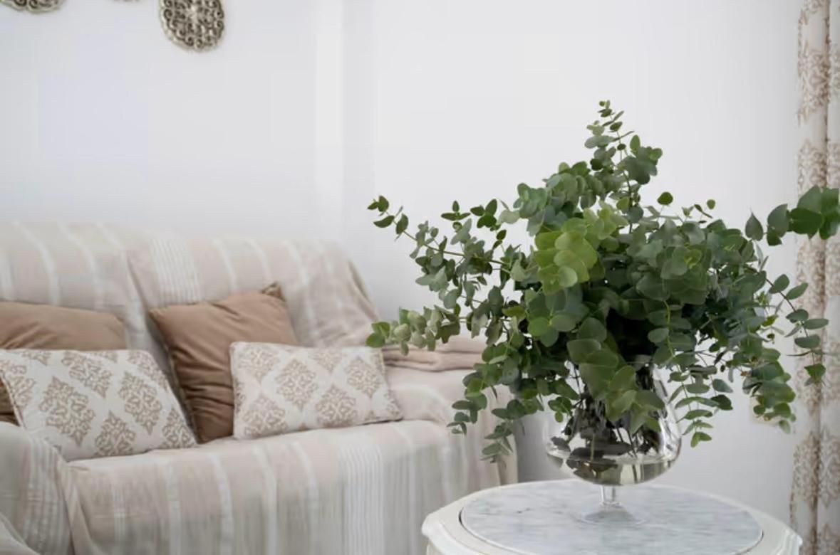 Apartamento Cataleya Ronda Esterno foto